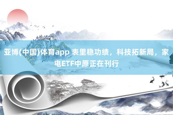 亚博(中国)体育app 表里稳功绩，科技拓新局，家电ETF中原正在刊行