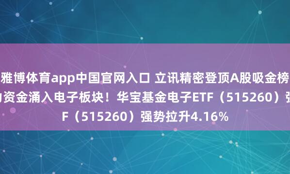 雅博体育app中国官网入口 立讯精密登顶A股吸金榜！超130亿主力资金涌入电子板块！华宝基金电子ETF（515260）强势拉升4.16%