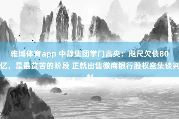 雅博体育app 中静集团掌门高央：咫尺欠债80亿，是最贫苦的阶段 正就出售徽商银行股权密集谈判