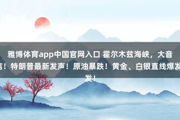 雅博体育app中国官网入口 霍尔木兹海峡，大音信！特朗普最新发声！原油暴跌！黄金、白银直线爆发！