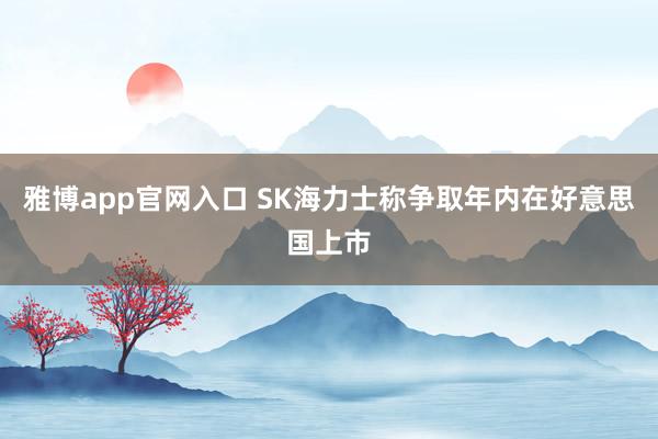 雅博app官网入口 SK海力士称争取年内在好意思国上市