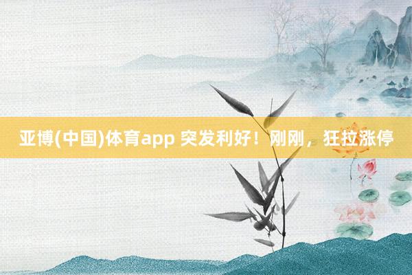 亚博(中国)体育app 突发利好！刚刚，狂拉涨停