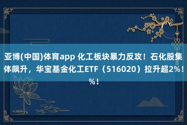 亚博(中国)体育app 化工板块暴力反攻！石化股集体飙升，华宝基金化工ETF（516020）拉升超2%！