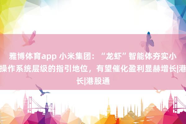 雅博体育app 小米集团：“龙虾”智能体夯实小米在操作系统层级的指引地位，有望催化盈利显赫增长|港股通