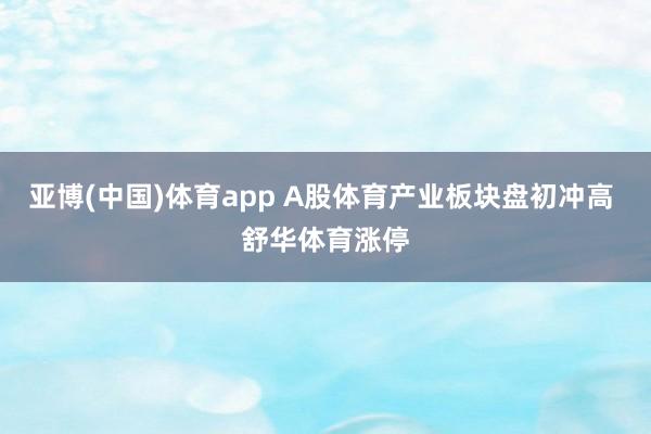 亚博(中国)体育app A股体育产业板块盘初冲高 舒华体育涨停