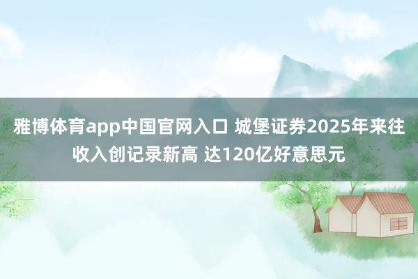 雅博体育app中国官网入口 城堡证券2025年来往收入创记录新高 达120亿好意思元