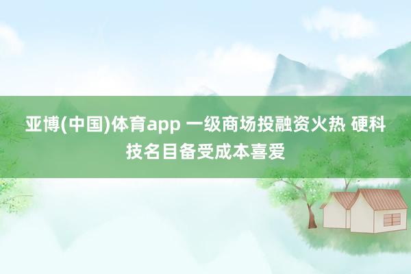 亚博(中国)体育app 一级商场投融资火热 硬科技名目备受成本喜爱
