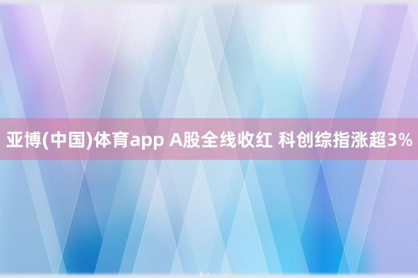 亚博(中国)体育app A股全线收红 科创综指涨超3%