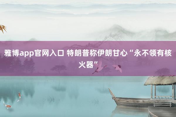 雅博app官网入口 特朗普称伊朗甘心“永不领有核火器”