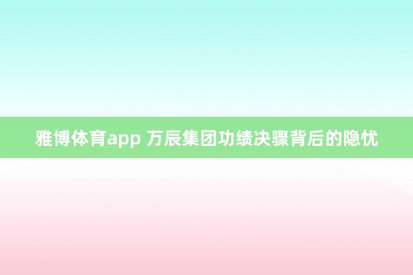 雅博体育app 万辰集团功绩决骤背后的隐忧