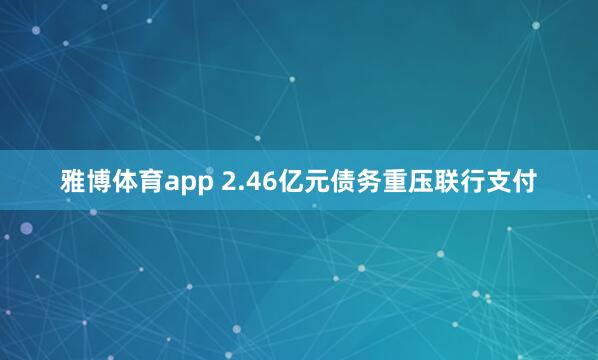 雅博体育app 2.46亿元债务重压联行支付