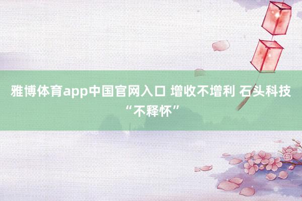 雅博体育app中国官网入口 增收不增利 石头科技“不释怀”