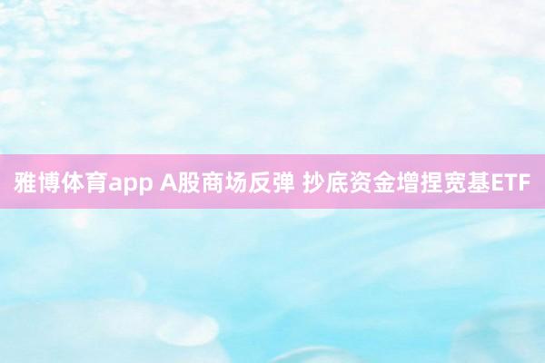 雅博体育app A股商场反弹 抄底资金增捏宽基ETF