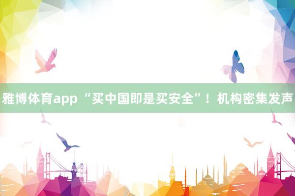 雅博体育app “买中国即是买安全”！机构密集发声