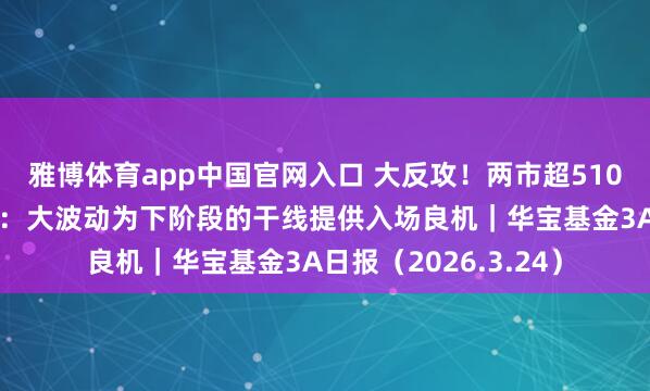 雅博体育app中国官网入口 大反攻！两市超5100股上升，西部证券：大波动为下阶段的干线提供入场良机｜华宝基金3A日报（2026.3.24）