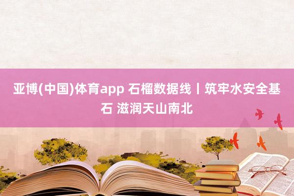 亚博(中国)体育app 石榴数据线丨筑牢水安全基石 滋润天山南北