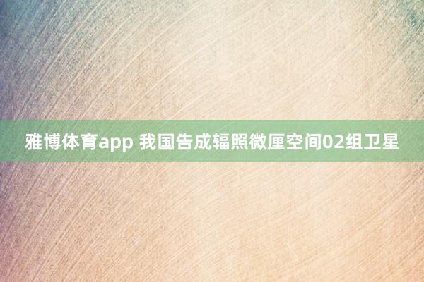 雅博体育app 我国告成辐照微厘空间02组卫星