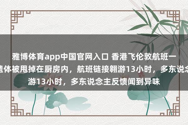 雅博体育app中国官网入口 香港飞伦敦航班一乘客一刹离世，遗体被甩掉在厨房内，航班链接翱游13小时，多东说念主反馈闻到异味