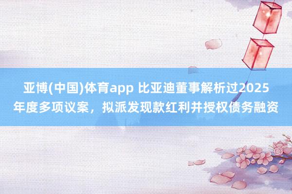 亚博(中国)体育app 比亚迪董事解析过2025年度多项议案，拟派发现款红利并授权债务融资