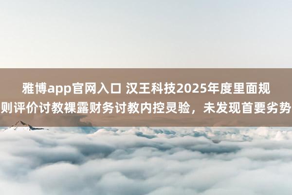 雅博app官网入口 汉王科技2025年度里面规则评价讨教裸露财务讨教内控灵验，未发现首要劣势