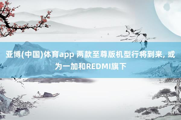 亚博(中国)体育app 两款至尊版机型行将到来， 或为一加和REDMI旗下