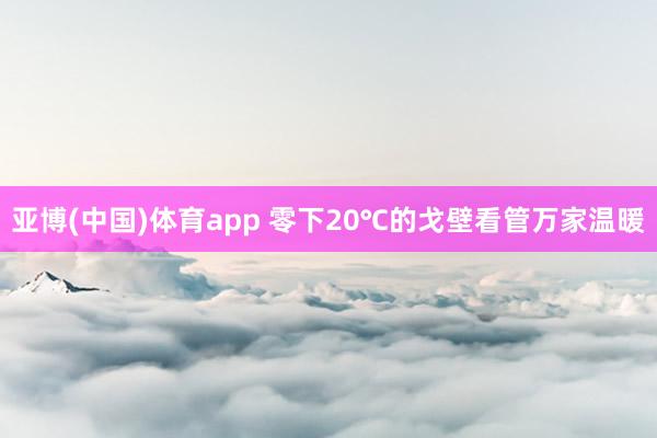 亚博(中国)体育app 零下20℃的戈壁看管万家温暖