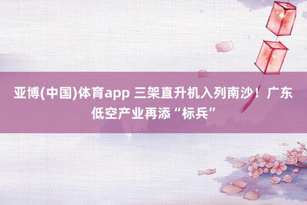亚博(中国)体育app 三架直升机入列南沙！广东低空产业再添“标兵”