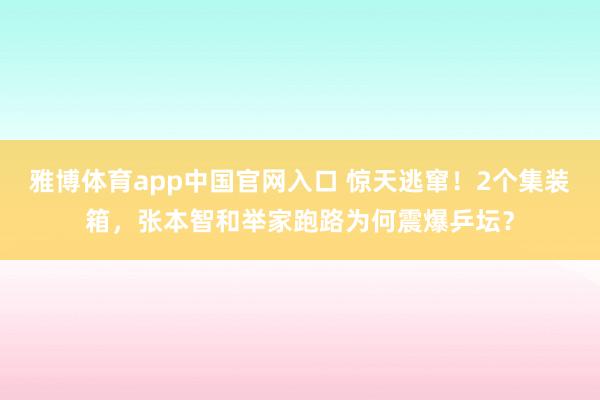 雅博体育app中国官网入口 惊天逃窜！2个集装箱，张本智和举家跑路为何震爆乒坛？