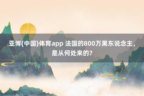 亚博(中国)体育app 法国的800万黑东说念主，是从何处来的？