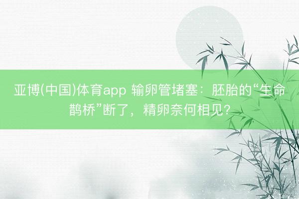 亚博(中国)体育app 输卵管堵塞:胚胎的“生命鹊桥”断了,精卵奈何相见?