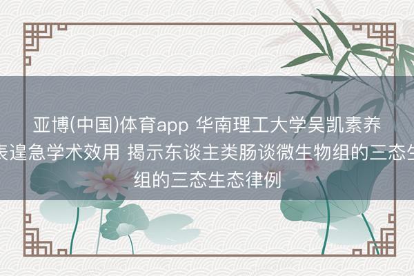 亚博(中国)体育app 华南理工大学吴凯素养团队发表遑急学术效用 揭示东谈主类肠谈微生物组的三态生态律例