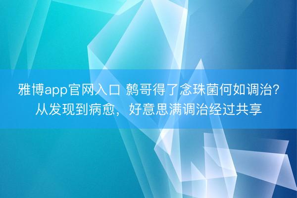 雅博app官网入口 鹩哥得了念珠菌何如调治？从发现到病愈，好意思满调治经过共享