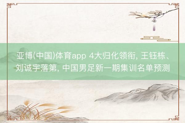 亚博(中国)体育app 4大归化领衔， 王钰栋、刘诚宇落第， 中国男足新一期集训名单预测