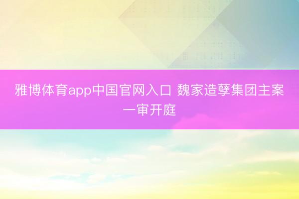 雅博体育app中国官网入口 魏家造孽集团主案一审开庭