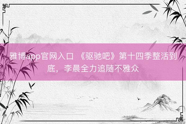雅博app官网入口 《驱驰吧》第十四季整活到底，李晨全力追随不雅众