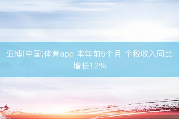 亚博(中国)体育app 本年前5个月 个税收入同比增长12%