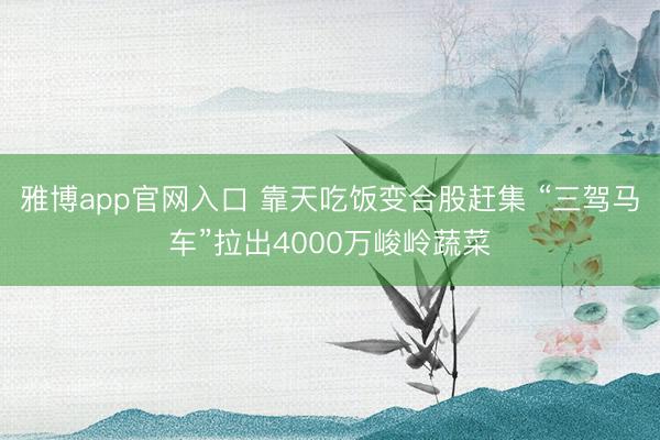 雅博app官网入口 靠天吃饭变合股赶集 “三驾马车”拉出4000万峻岭蔬菜
