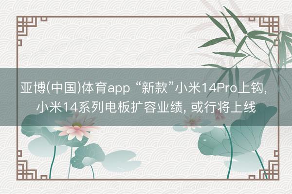 亚博(中国)体育app “新款”小米14Pro上钩, 小米14系列电板扩容业绩, 或行将上线