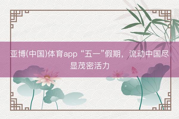 亚博(中国)体育app “五一”假期，流动中国尽显茂密活力