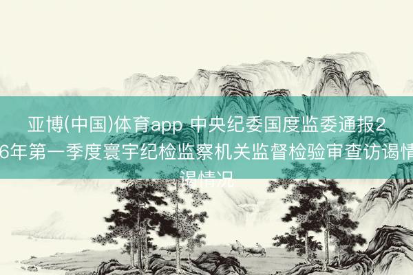 亚博(中国)体育app 中央纪委国度监委通报2026年第一季度寰宇纪检监察机关监督检验审查访谒情况