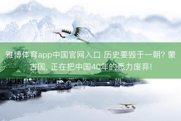 雅博体育app中国官网入口 历史要毁于一朝? 蒙古国， 正在把中国40年的悉力废弃!